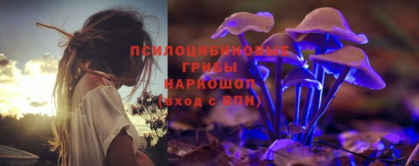 мдпв Осинники