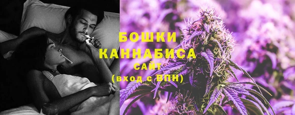 мдпв Осинники