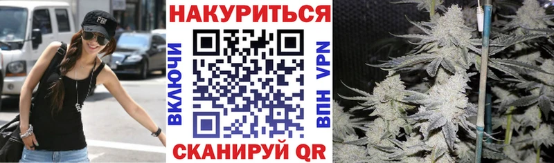 Бошки Шишки марихуана Шагонар